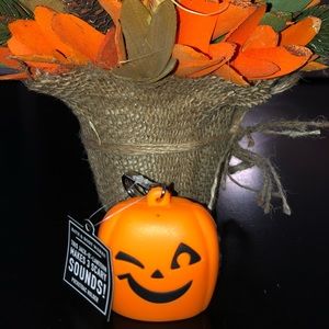 Brand New Pumpkin Pocketbac